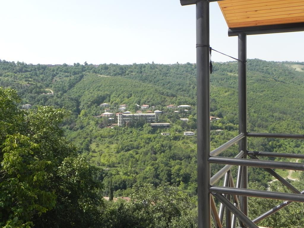 Galavnis Kari Hotel Signagi Cameră foto